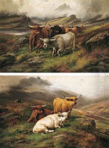Cattle Resting