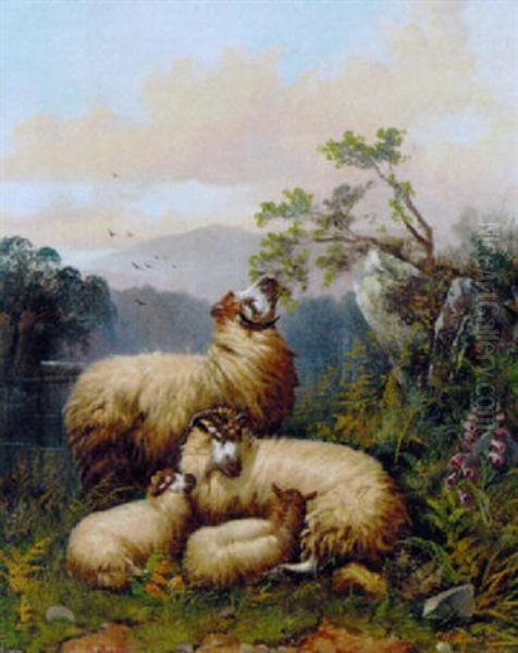 Sheep Resting In A River Landscape - view 1