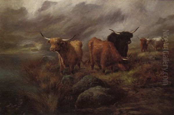 Highland Cattle By A Loch - view 1