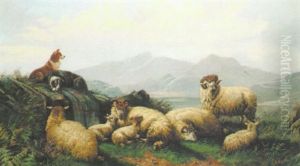 Minding The Flock Minding The Flock