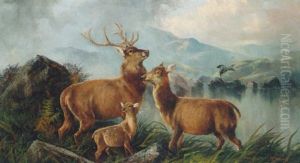 Stags Before A Loch In A Highland Landscape by John W. Morris