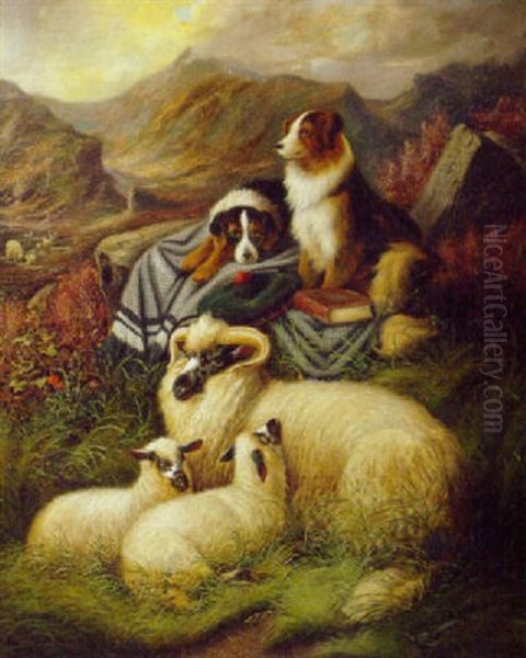 Highland Companions - view 1