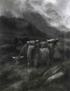 Highland Cattle In A Glen by John W. Morris