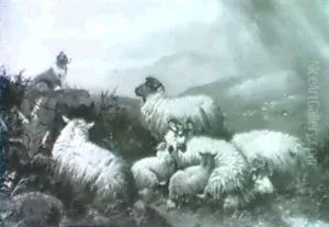 Sheep In The Highlands by John W. Morris