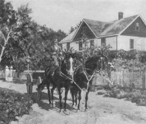 Portrait Of Charles Todd In A Horse-drawn Wagon by William Bright Morris