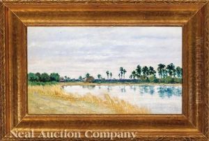 Marsh, Crescent City, Florida by George Frederick Morse