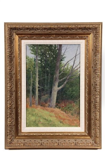 Dead Tree, Cape Elizabeth - view 1