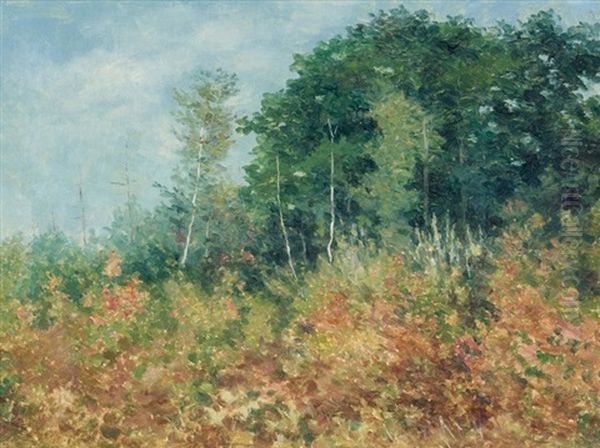 Woodlands (cape Elizabeth?) - view 1