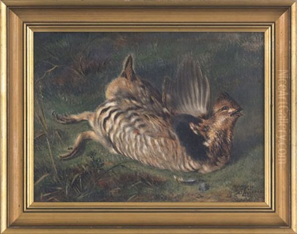 A Gamebird - view 1