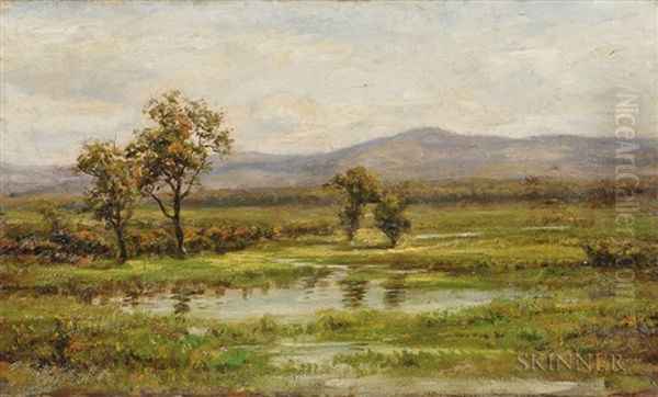 Water-meadow - view 1