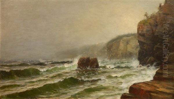 Rocky Coastline - view 1