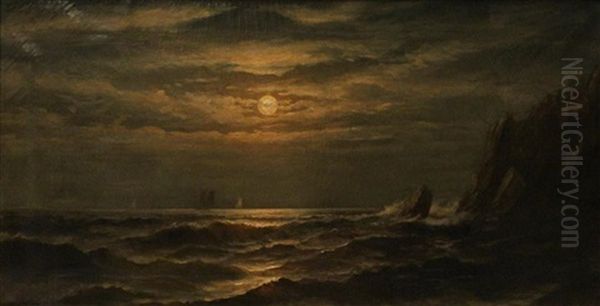 Rocky Coast In The Moonlight - view 1