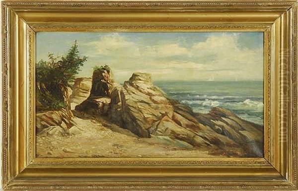 Rocky Coastal Landscape With Distant Ships - view 1