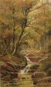 Woodland Stream Woodland Stream