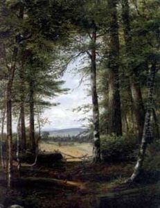 Forest Landscape Clearing by Jonathan Bradley Morse