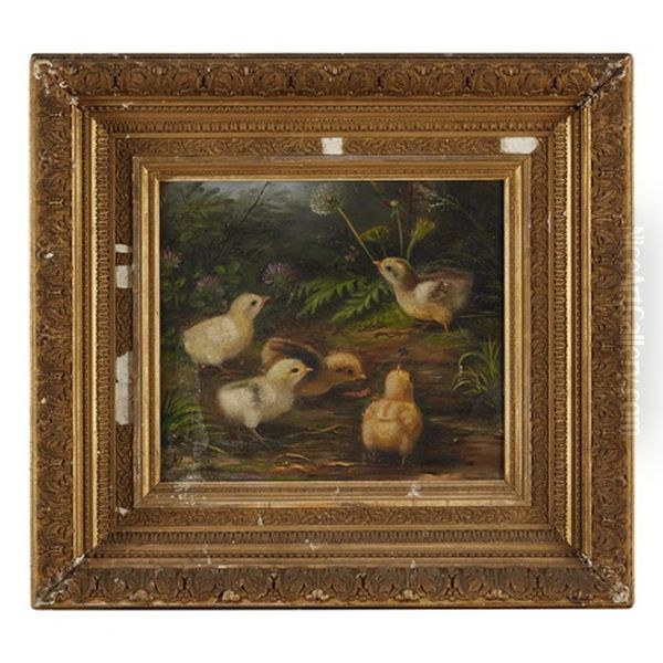 Chicks Catching Insects - view 1