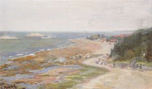 Low Tide, Little Metis