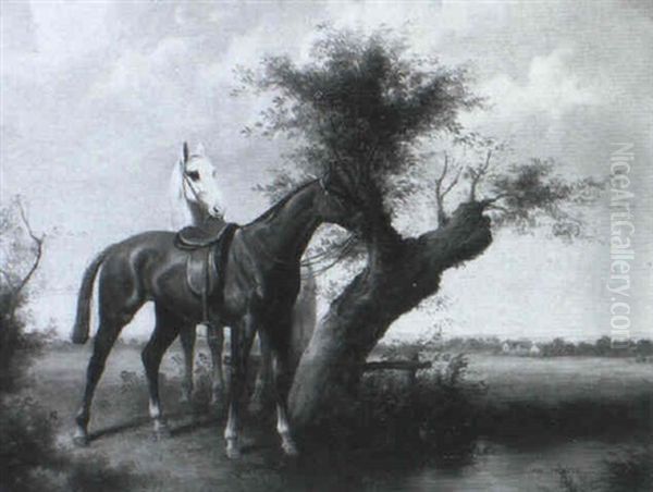 Horses Waiting By A Tree - view 1