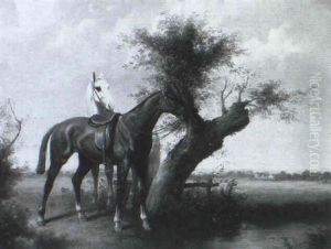 Horses Waiting By A Tree Horses Waiting By A Tree