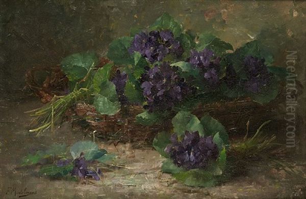 Bouquets De Violettes Dans Un Panier - view 1