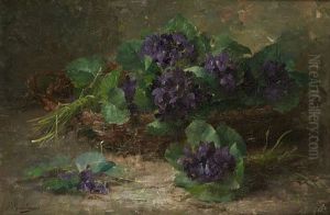 Bouquets De Violettes Dans Un Panier Bouquets De Violettes Dans Un Panier