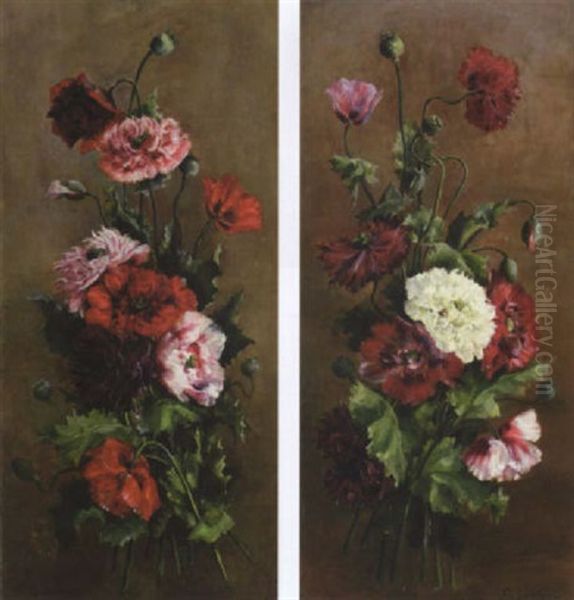 Poppies - view 1