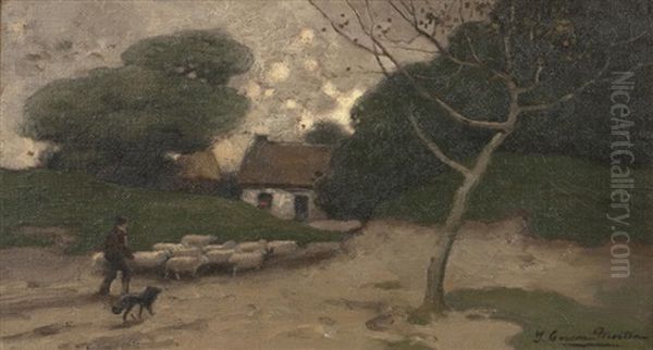 Return Of The Flock - view 1