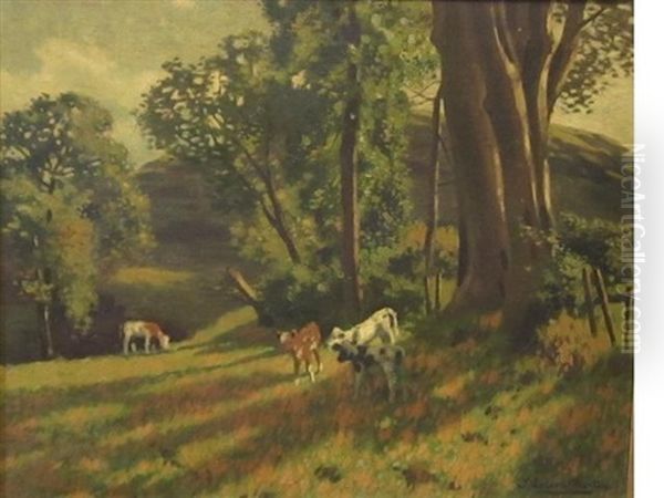Calves Grazing In A Sunny Wooded Landscape - view 1