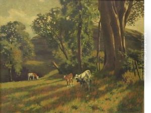 Calves Grazing In A Sunny Wooded Landscape Calves Grazing In A Sunny Wooded Landscape