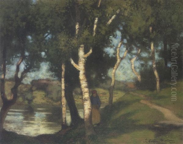 A Woodland Path At Dusk - view 1