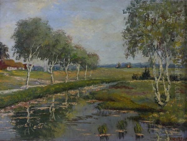 Norddeutsche Moorlandschaft Mit Birken - view 1