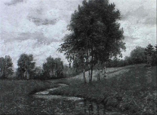 Fruhlingswiese Mit Einem Bachlauf Und Baumen - view 1