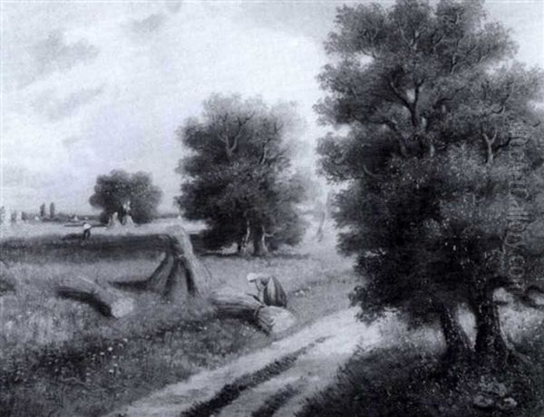 Getreideernte In Weiter Ebene - view 1