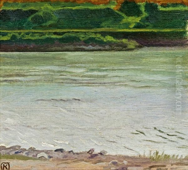 Mondnacht An Der Donau (wachau) - view 1