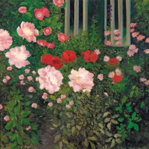 Garten Mit Pfingstrosen Und Mohnblumen