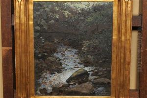 Sunlit Wooded Stream by Robert Oswald Moser