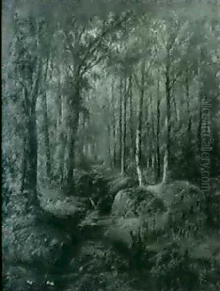Forest Interior - view 1