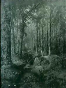 Forest Interior Forest Interior