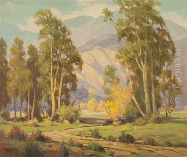 California Foothills And Eucalyptus Trees - view 1