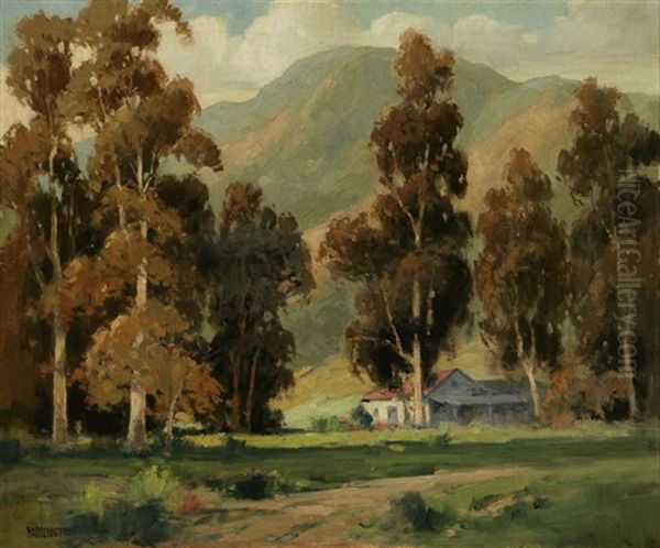 Southern California Eucalyptus Mountain Landscape - view 1