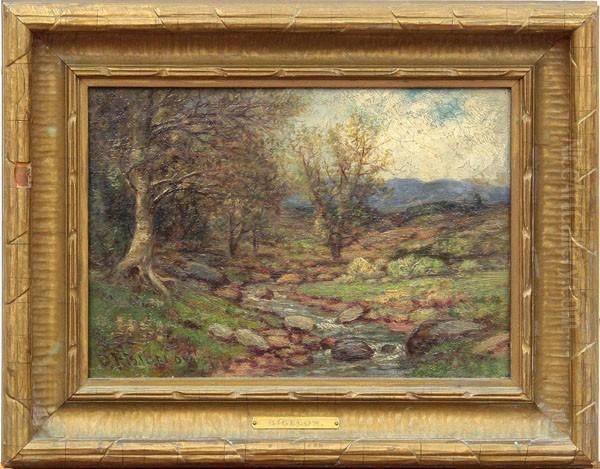 Illinois Landscape - view 1