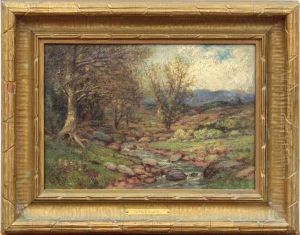 Illinois Landscape