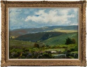 A Dartmoor Valley