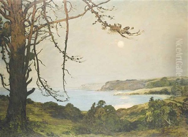 Summer Moon - view 1