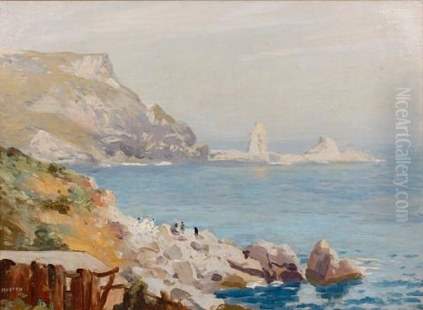 Anstey's Cove, Devon - view 1
