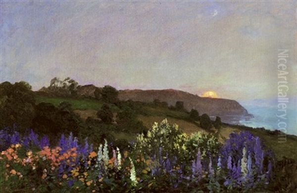Delphiniums On A Hillside At Sunset - view 1