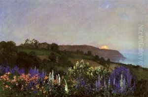 Delphiniums On A Hillside At Sunset by Thomas Edwin Mostyn