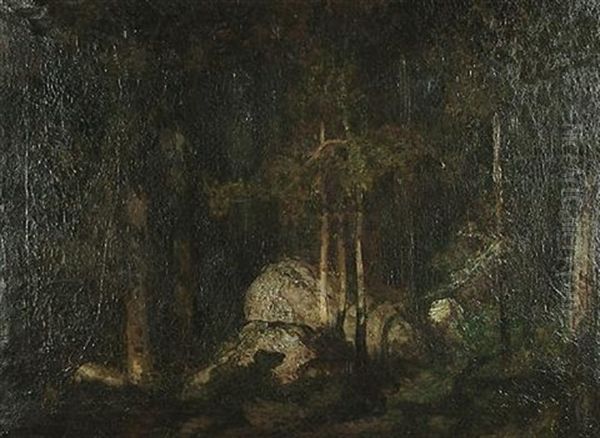 The Forest At Night - view 1