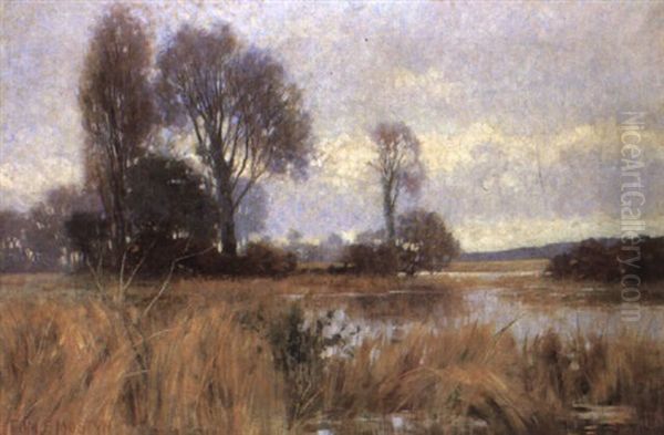 February - view 1