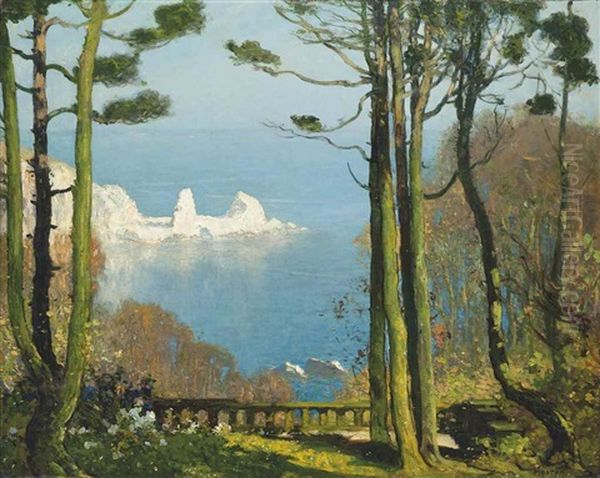 Anstay Cove, Devon - view 1